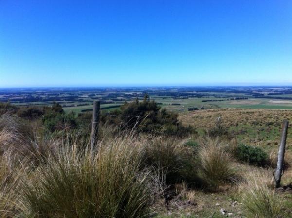 Views of the Canterbury Plains on the way down