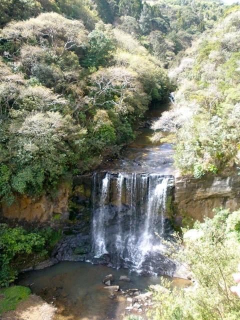 Mokoroa Falls (Goldies Bush) - 3hr loop, go in at Constable Road