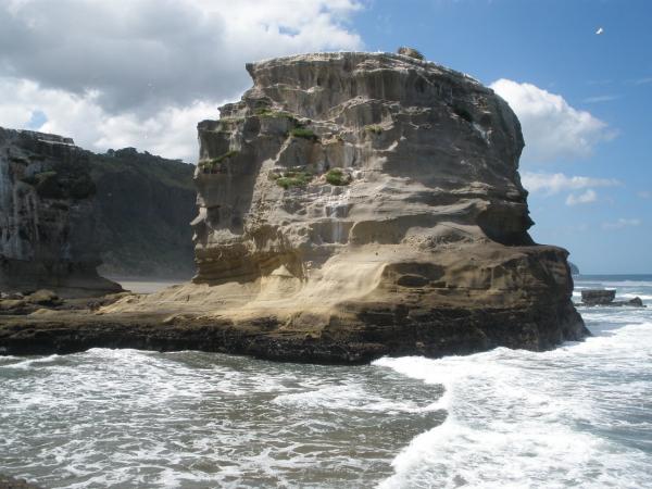Motutara Island - island of the seabirds