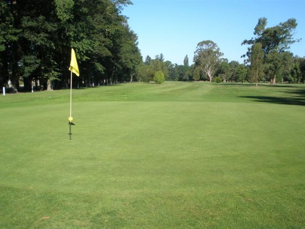 Temuka Golf Club - be warned, the locals seldom lose