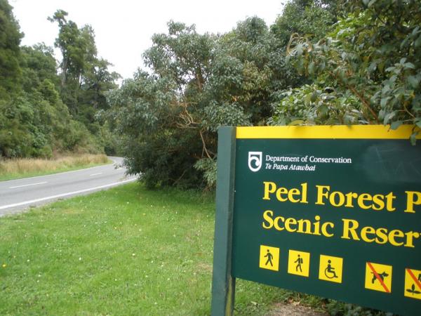 Peel Forest - tramping, rafting, horse treks, salmon fishing, canoeing, fishing, tandem bikes