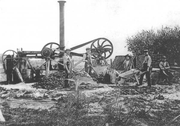Steam Pug Mill, date unknown
