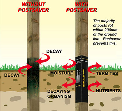 Post Save rot prevention in wooden fance posts