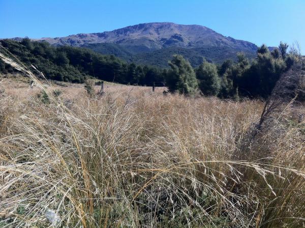 Mount Somers, mid Canterbury, where we mine one of the ingredients in our porcelain blend